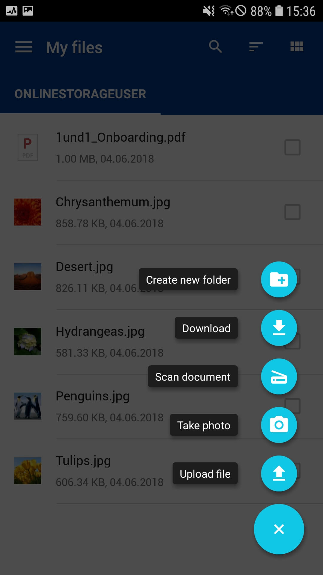hidrive backup hidrive backup