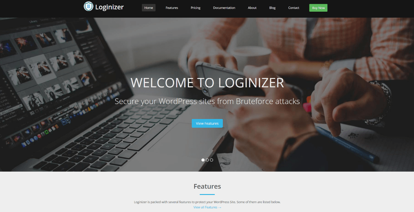 Screenshot of Loginizer website