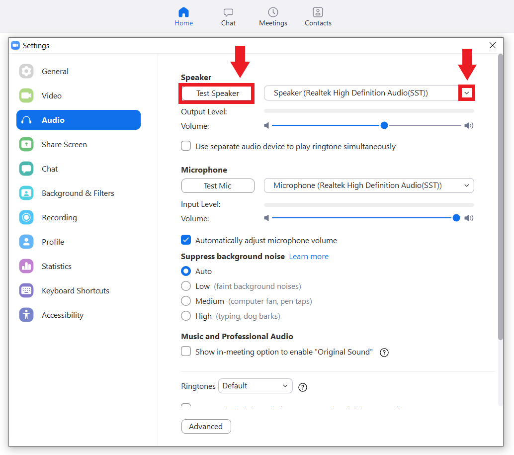 Settings in Zoom with Audio Test
