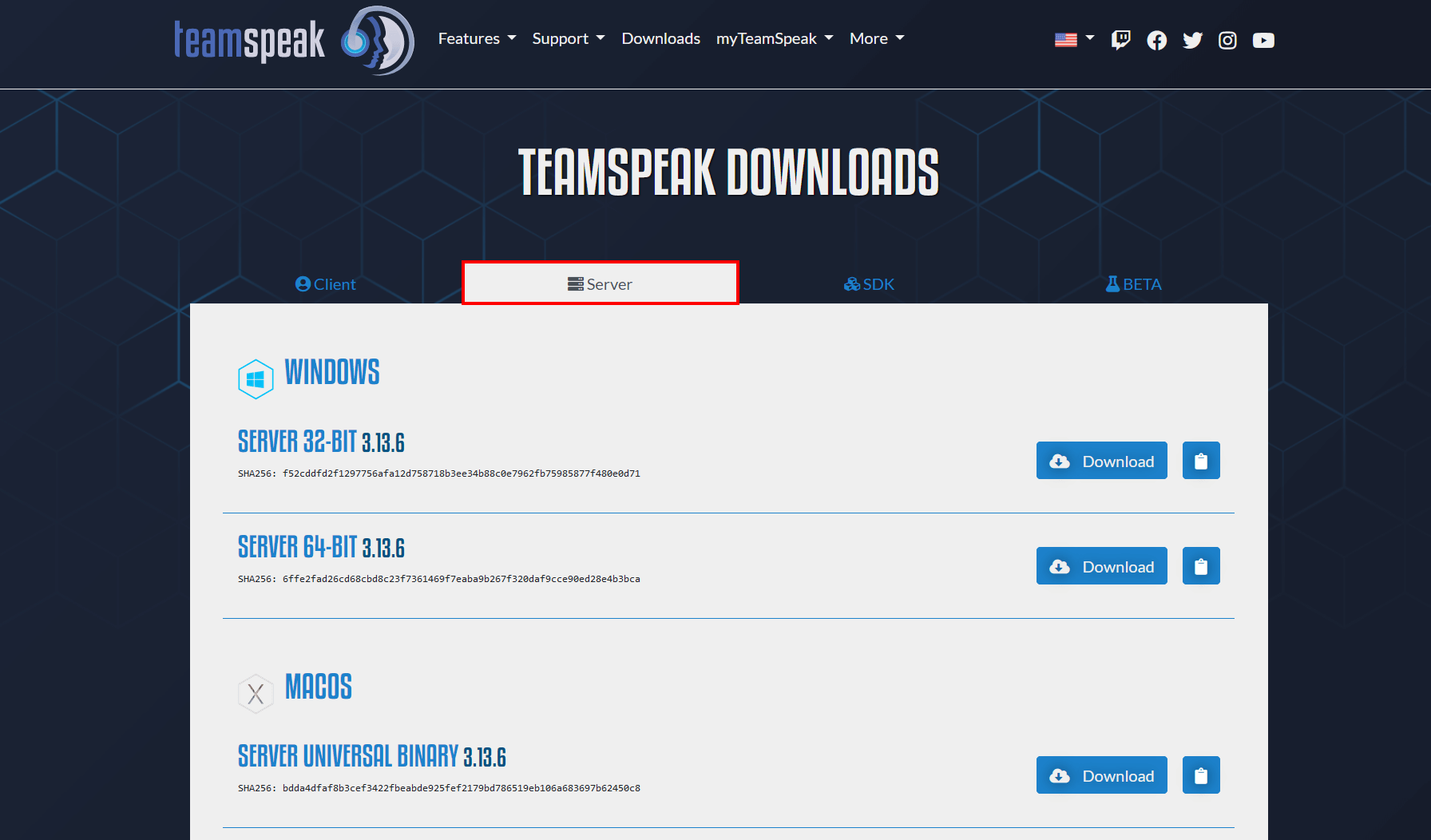 Screenshot of the TeamSpeak download centre