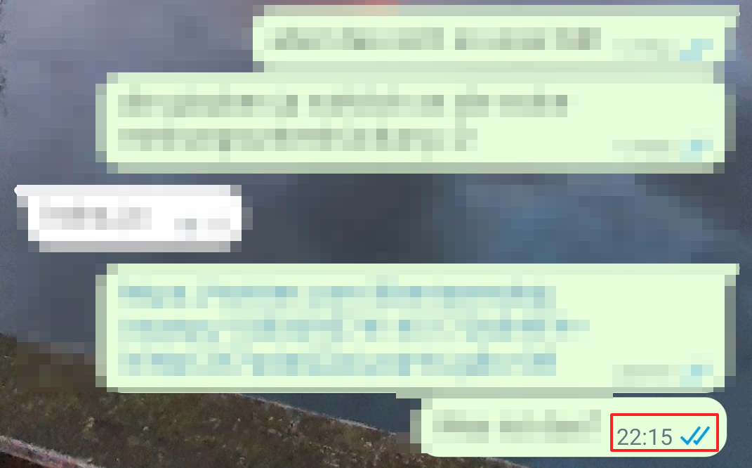 Screenshot of a sent message status on WhatsApp