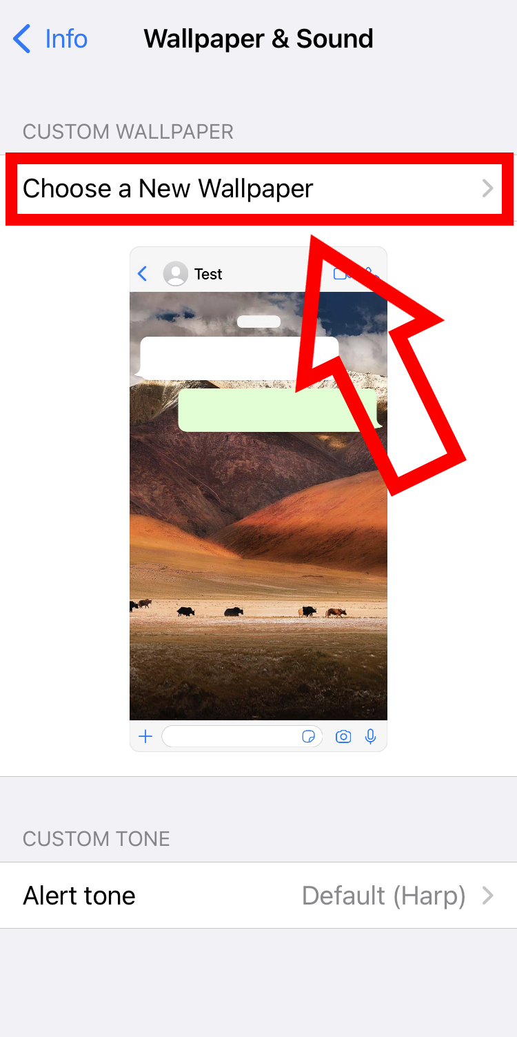 iPhone screenshot of custom wallpaper options in WhatsApp