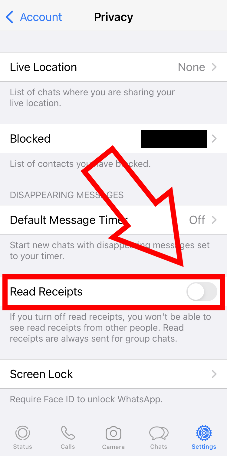 iPhone screenshot of WhatsApp’s privacy settings with deactivated read receipts