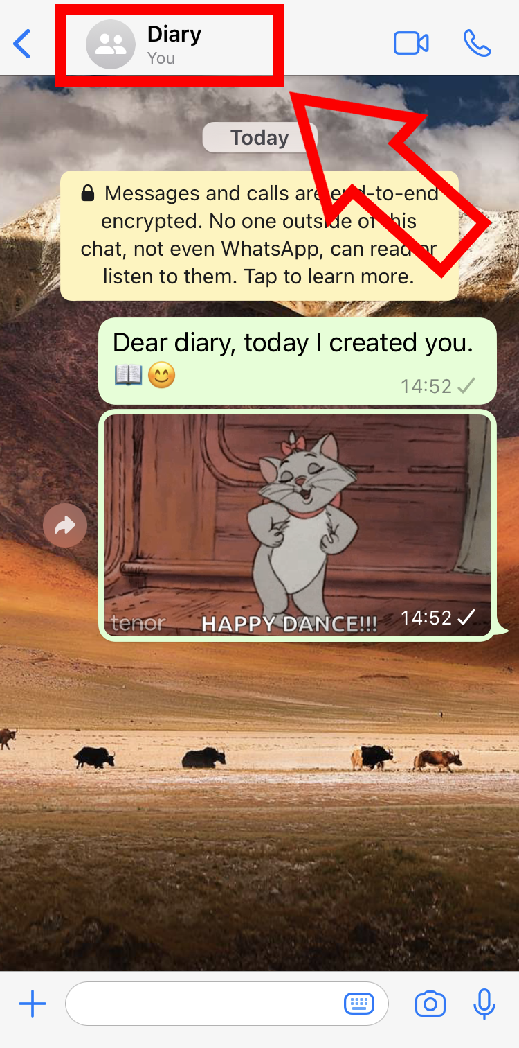 iPhone screenshot of a private diary in WhatsApp