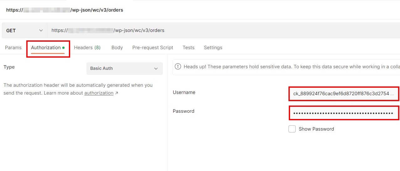 Screenshot of Authorisation page in Postman