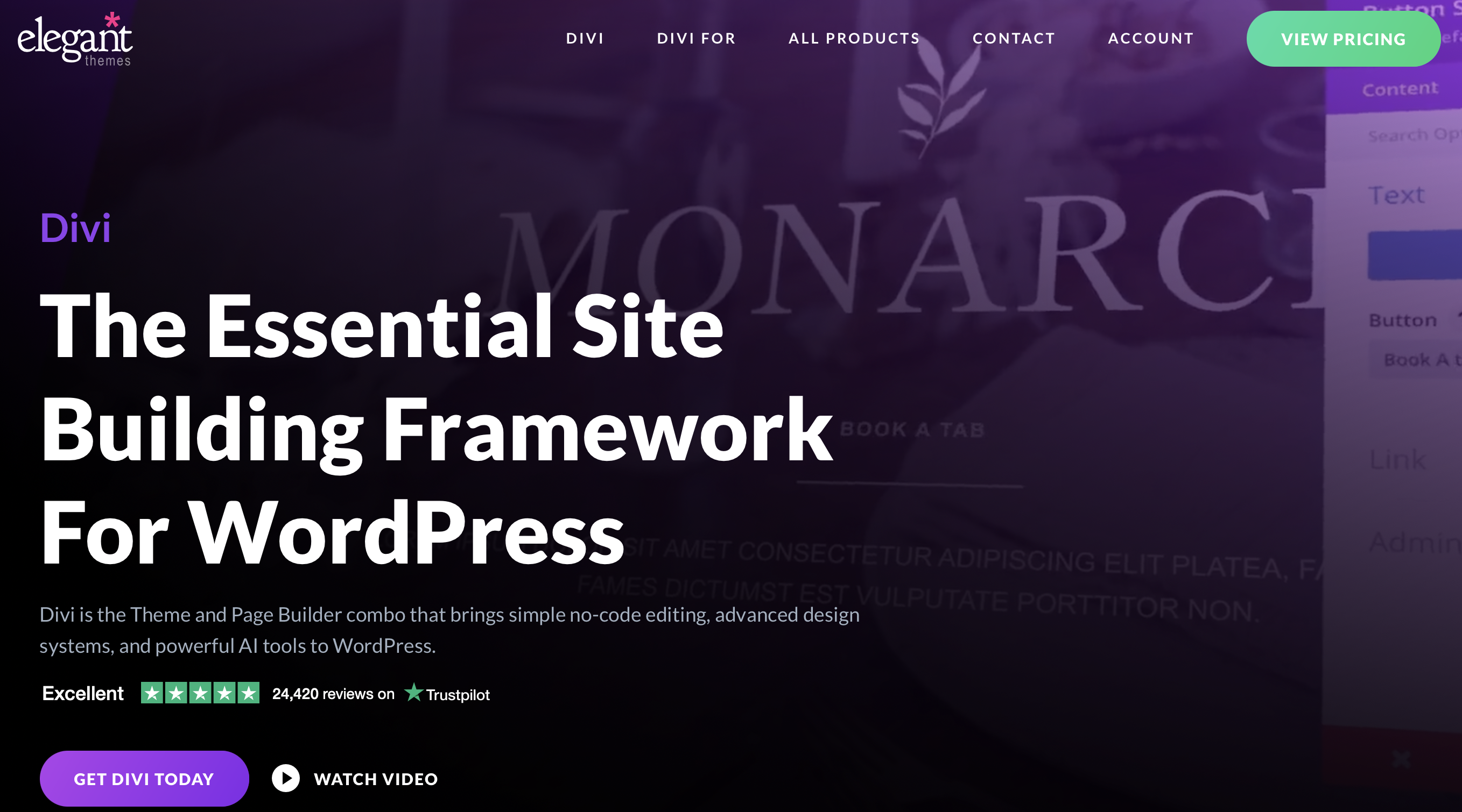 WordPress template Divi by Elegant Themes Image: WordPress template Divi by Elegant Themes