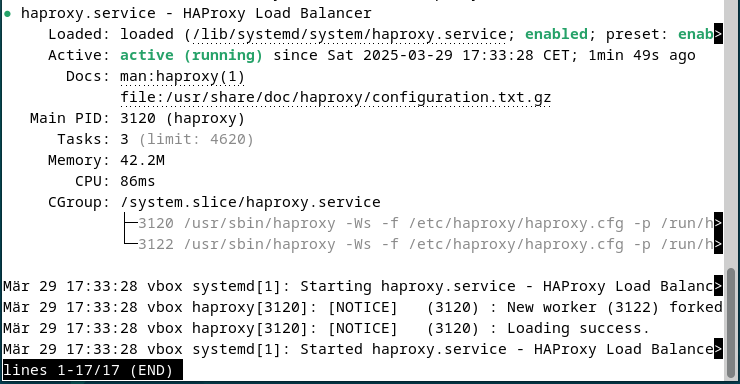 Screenshot of the current HAProxy status in the terminal Image: Screenshot of the current HAProxy status in the terminal