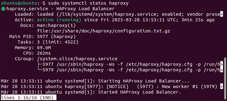 Screenshot of the current HAProxy status in the terminal Image: Screenshot of the current HAProxy status in the terminal