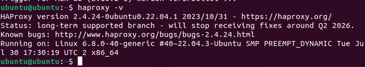 Screenshot of the current HAProxy version in the terminal Image: Screenshot of the current HAProxy version in the terminal