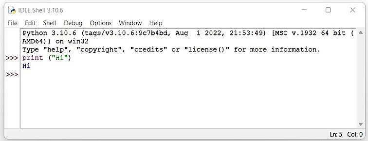 How to install Python and set it up - IONOS UK