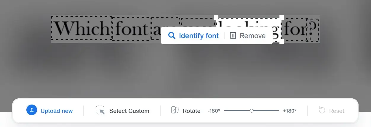 Cropping in the web app Image: Cropping in the web app
