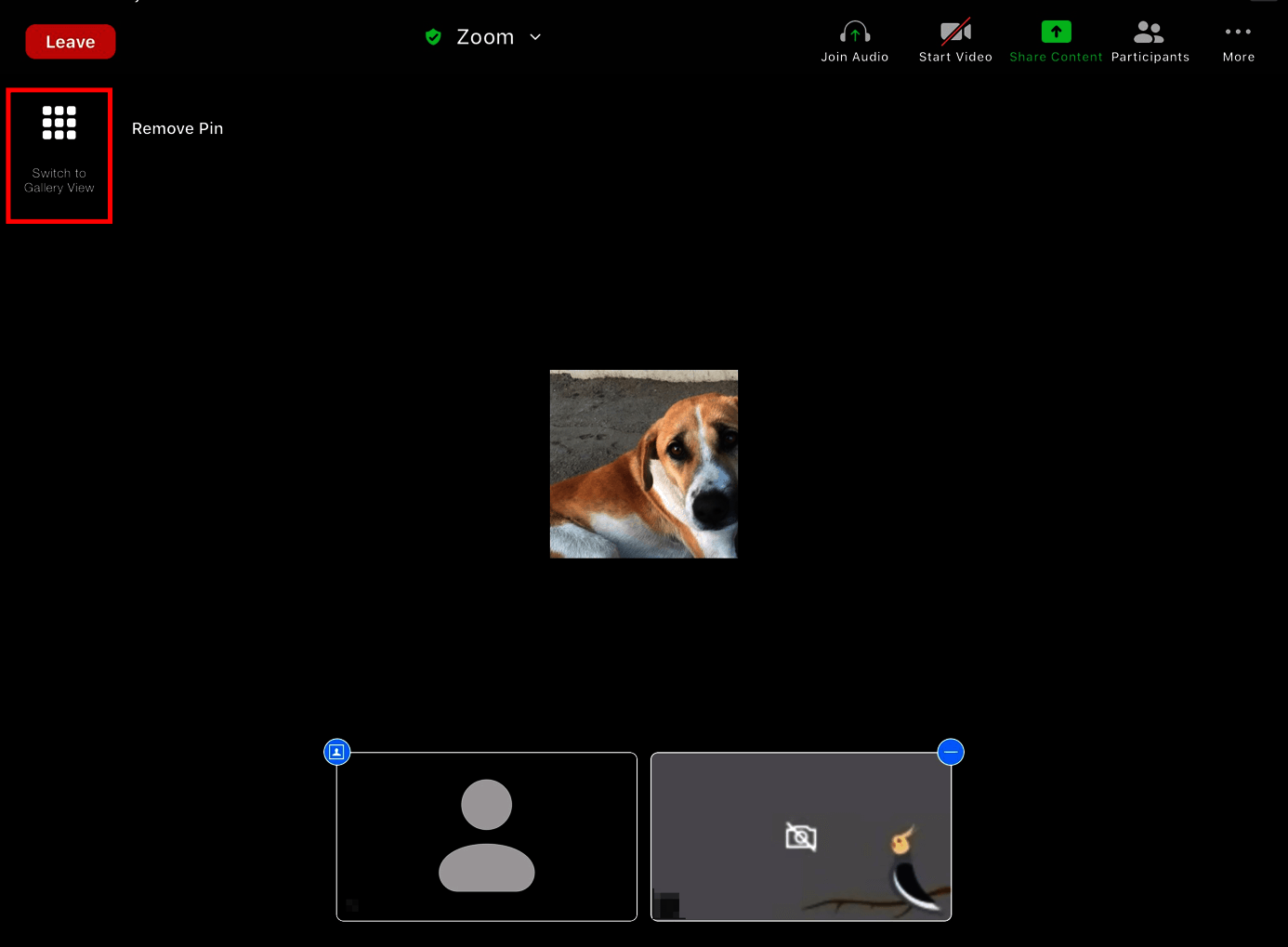 How to see everyone on Zoom Using gallery view IONOS UK