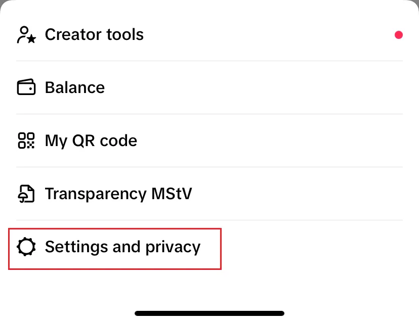 Image: Main TikTok menu under the three-dot icons