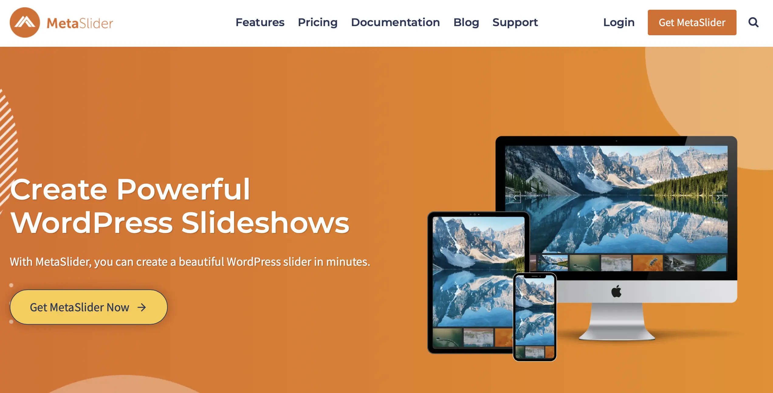 Image: MetaSlider website