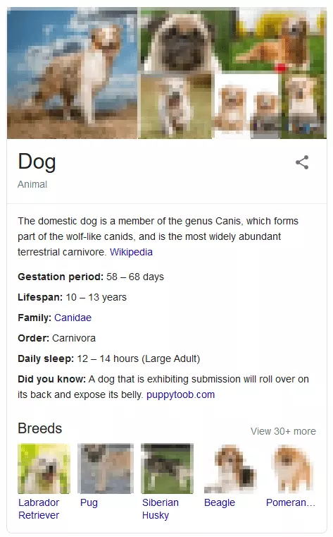 Image: The knowledge panel of the Knowledge Graph