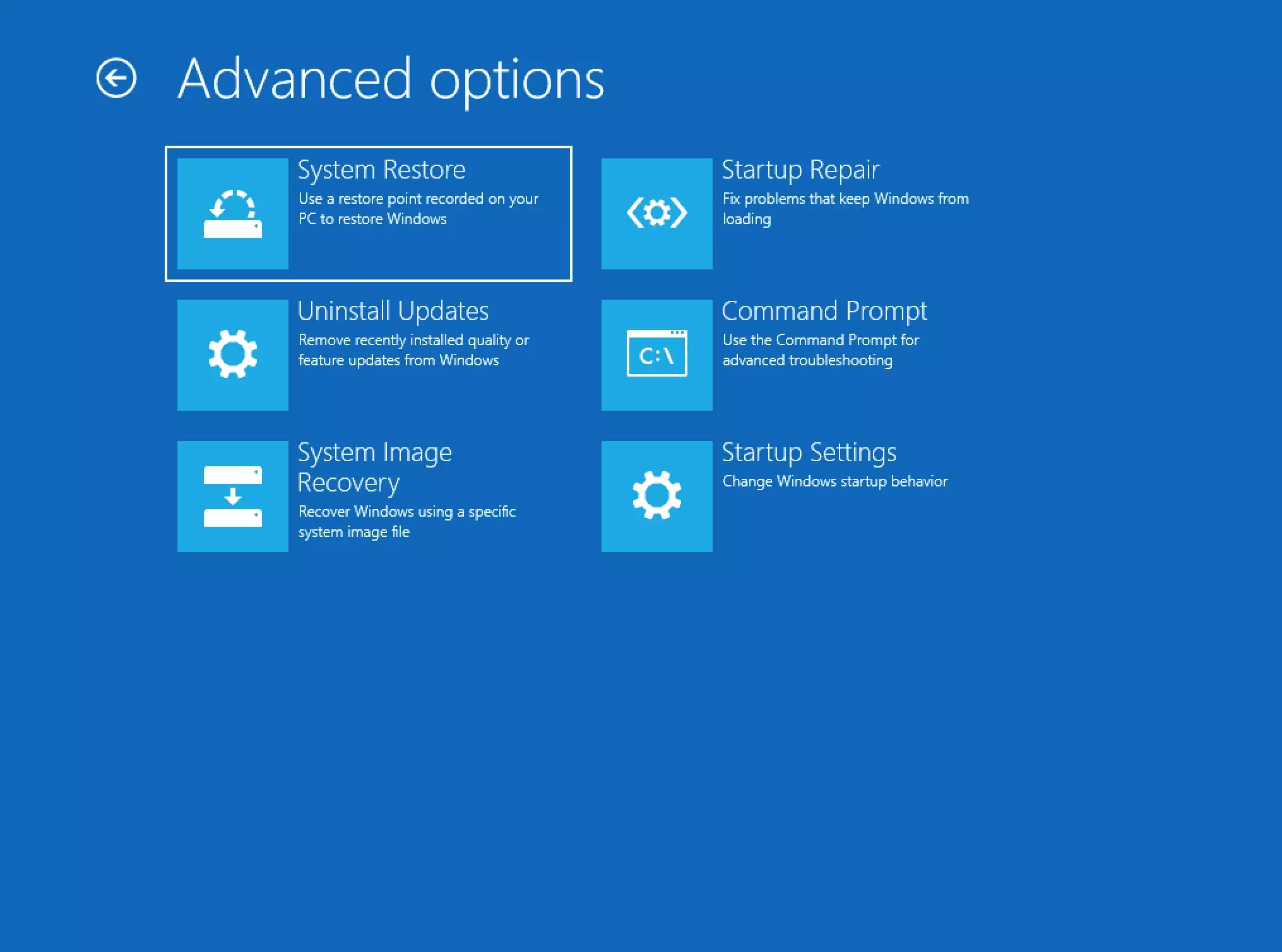 Image: Boot Options menu with Windows
