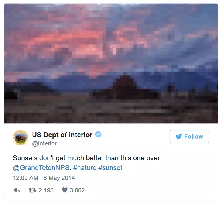 Image: An embedded tweet