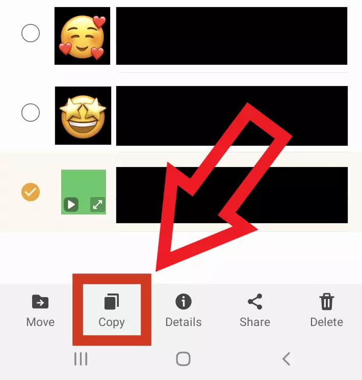 Screenshot of Android folder `.Statuses´ after selecting status video to download