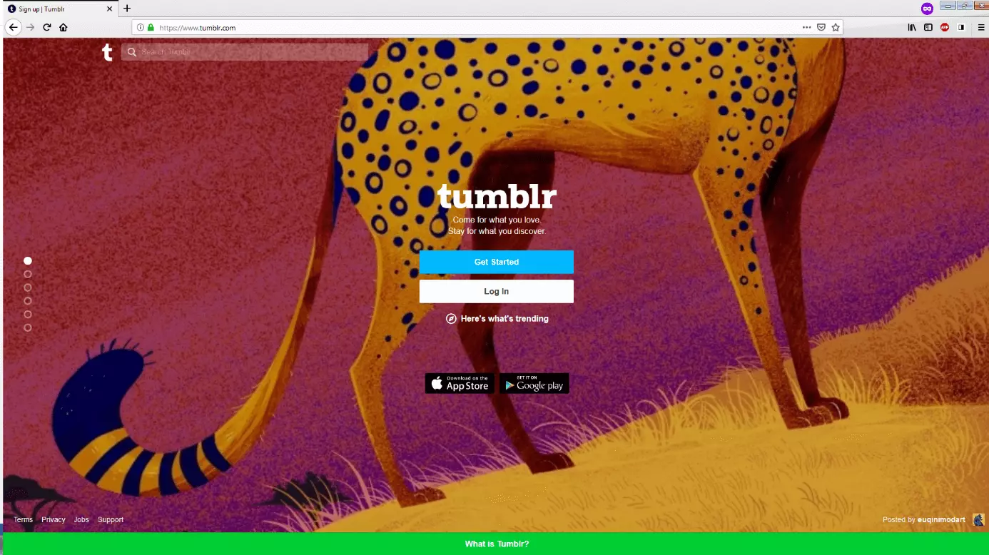 Image: Website of Tumblr