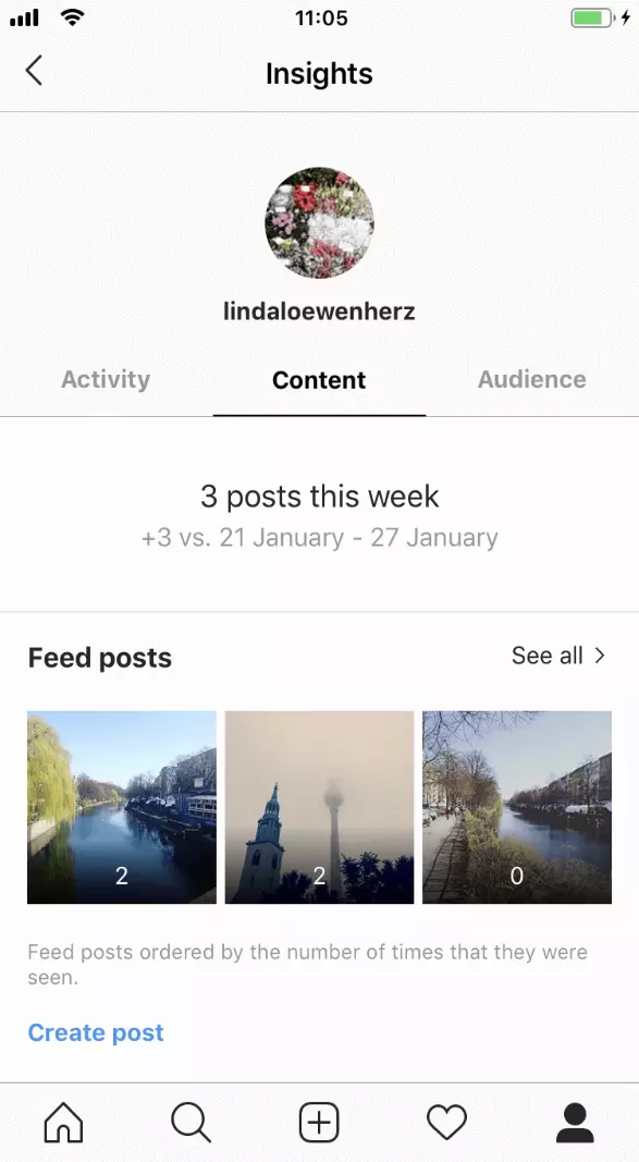 Image: Content area of Instagram Insights