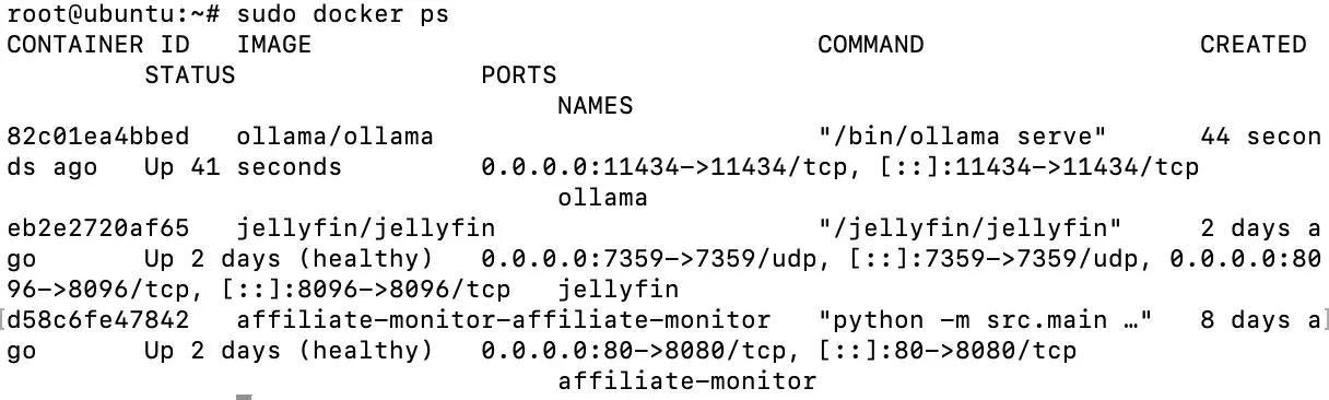 Image: Output of docker ps showing the Ollama container