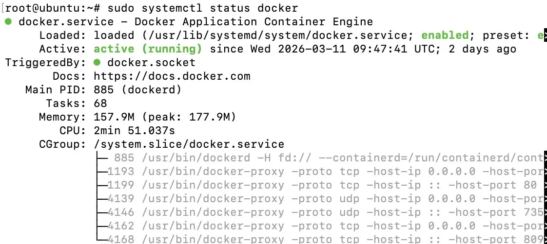 Image: Status display of Docker on your Ollama server