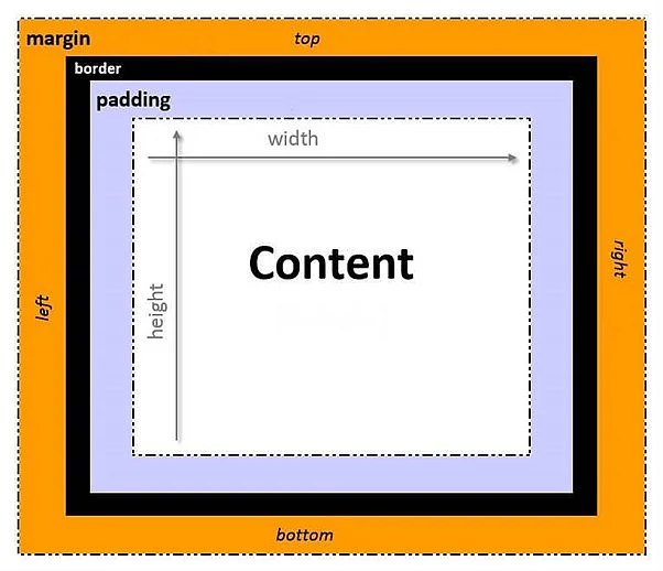 Image: CSS box model