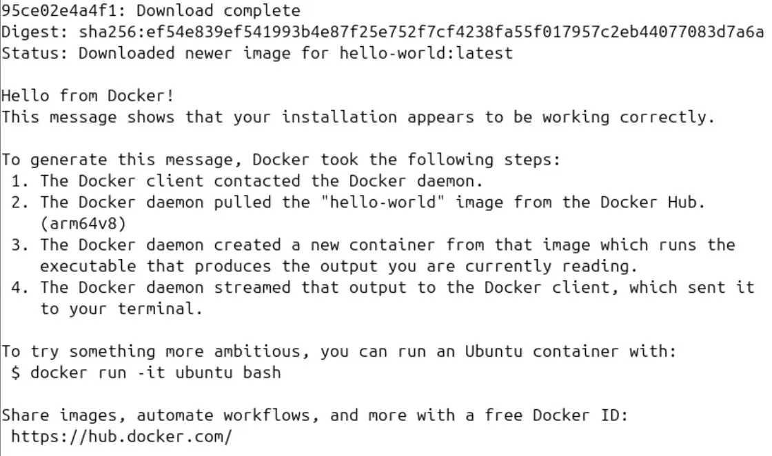 Image: Screenshot of Docker’s ‘Hello World’ container