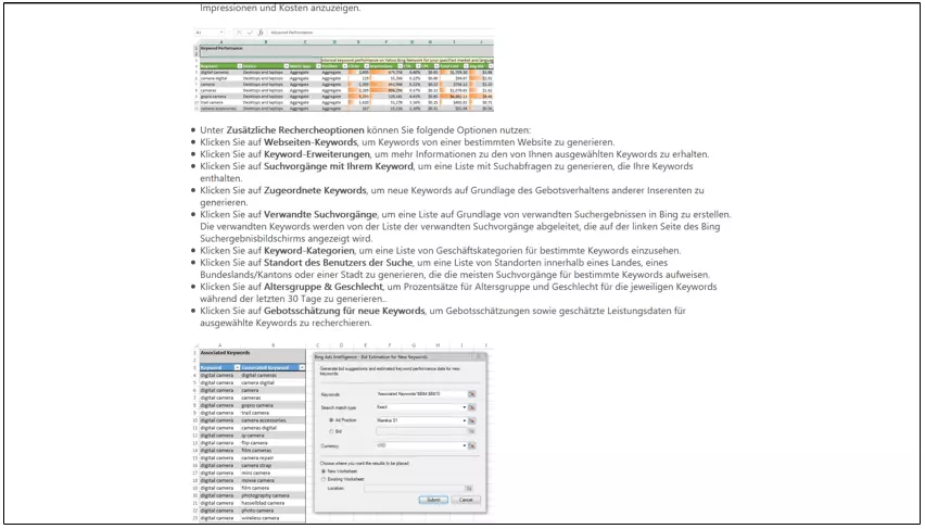Image: Bing Ads Intelligence Tool