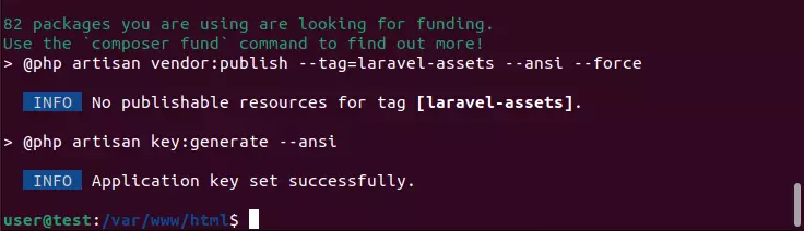 Ubuntu terminal: PHP framework Laravel successfully installed Ubuntu terminal: PHP framework Laravel successfully installed