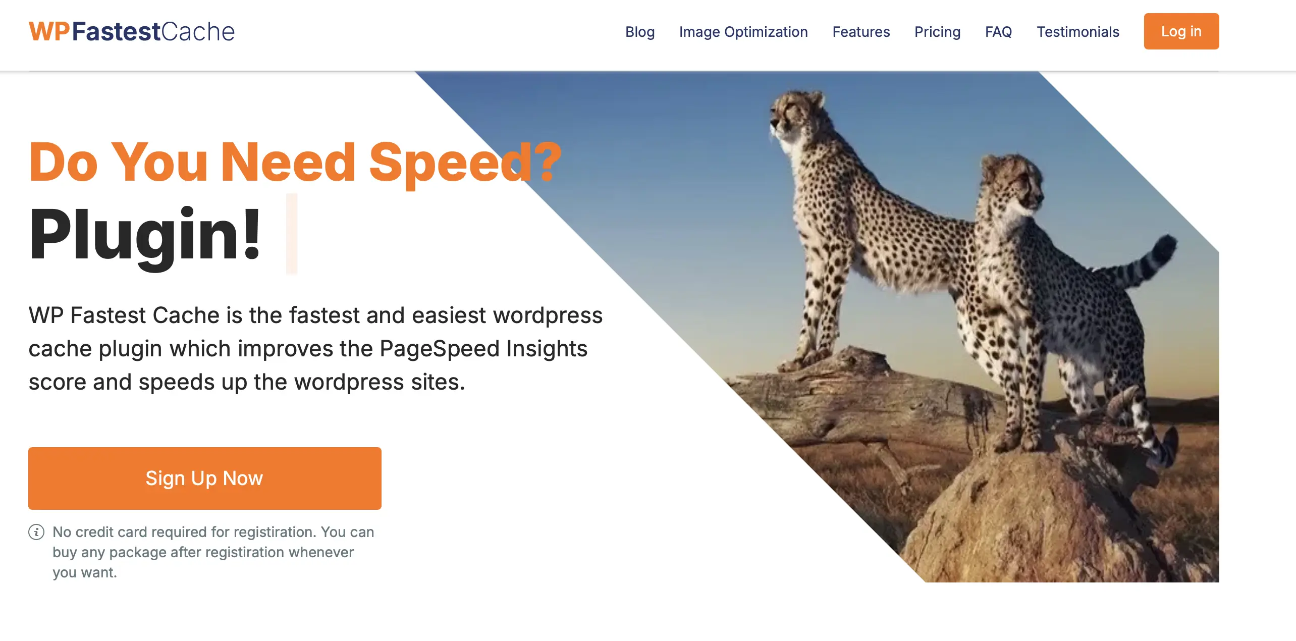 Image: Screenshot of WP Fastest Cache website