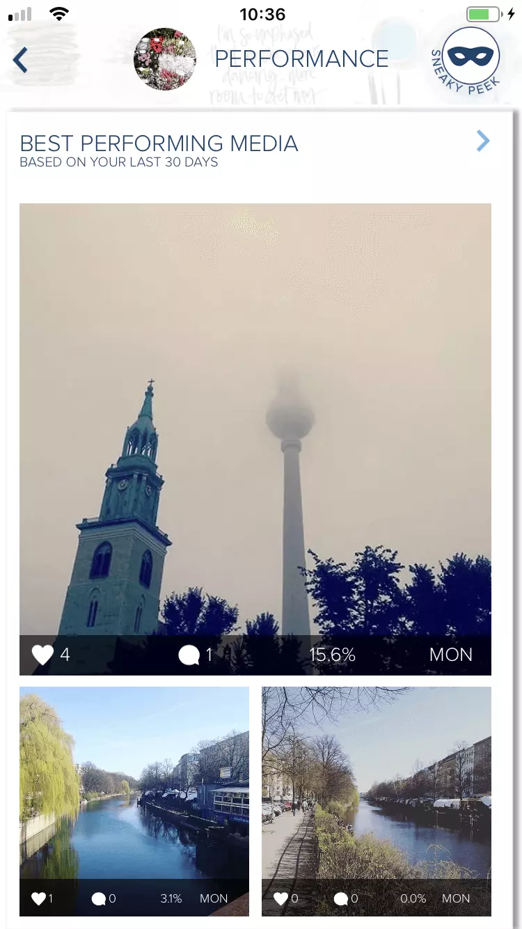 Image: Performance section of the Instagram statistics app, Plann