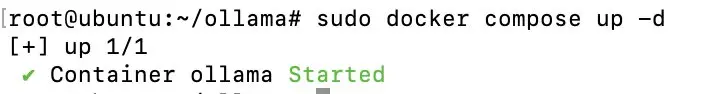 Image: Starting the container with compose