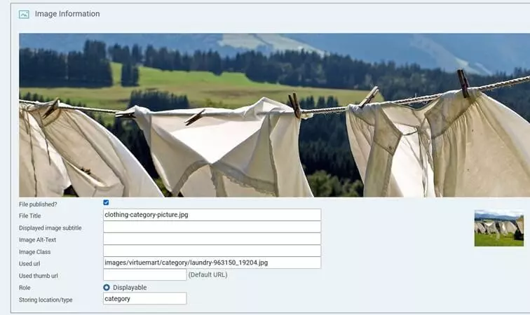 Image: VirtueMart Joomla shop: Define image information for category picture