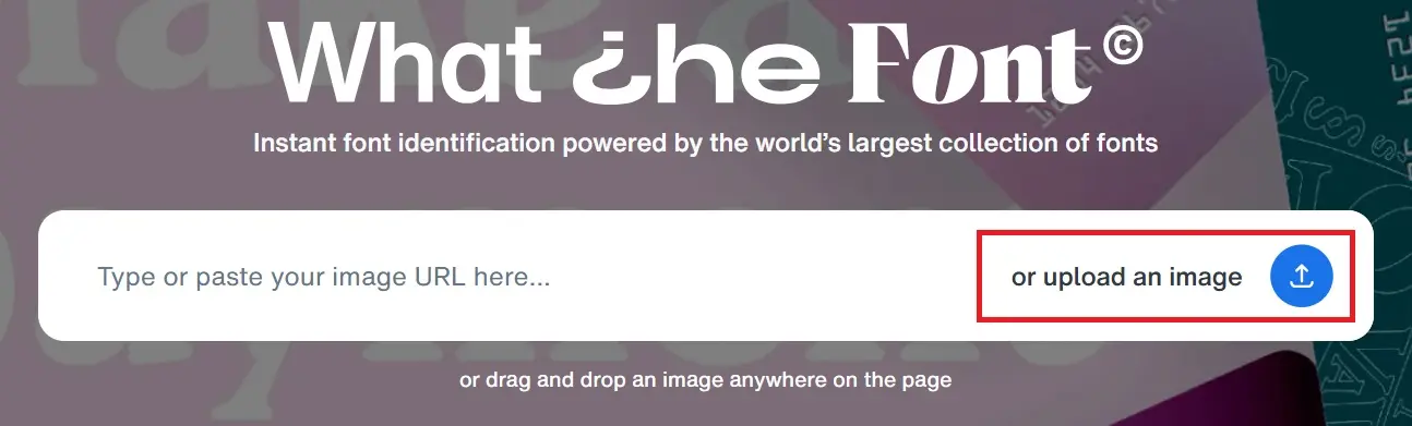 Upload box on the web app Image: Upload box on the web app