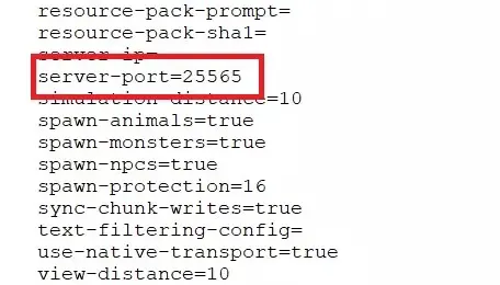 Image: Minecraft server: Snippet of server.properties file