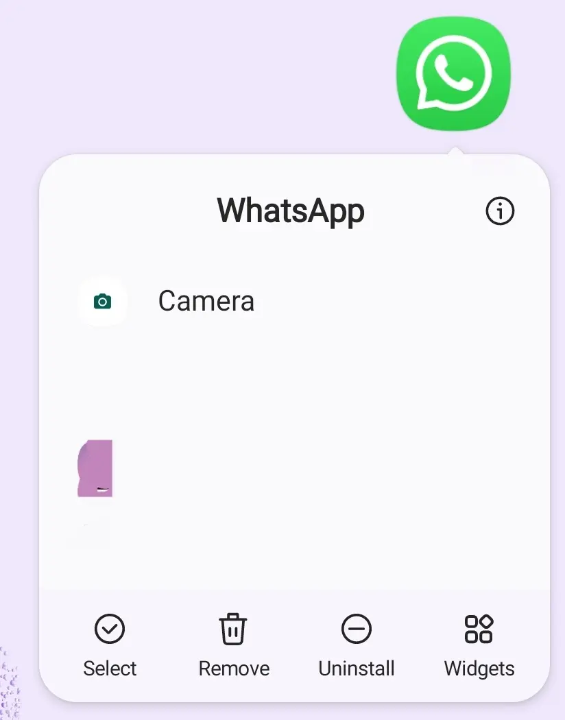 Uninstall WhatsApp by moving it to ‘Uninstall’ Image: Uninstall WhatsApp by moving it to ‘Uninstall’
