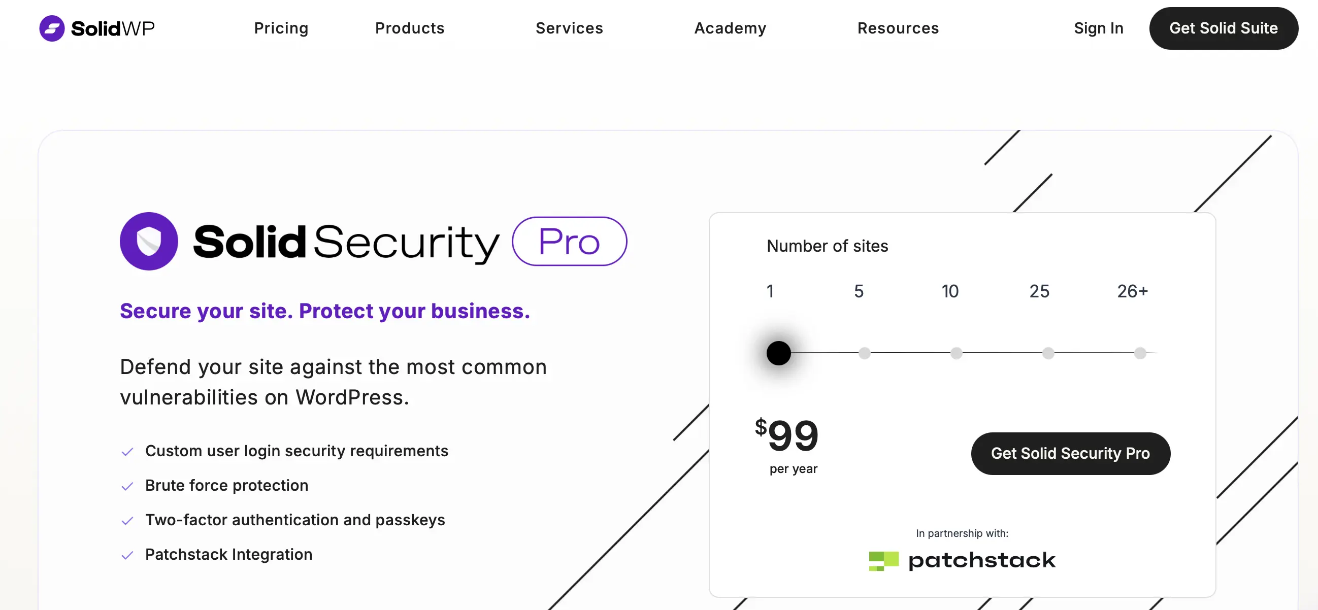 Image: Security Pro website