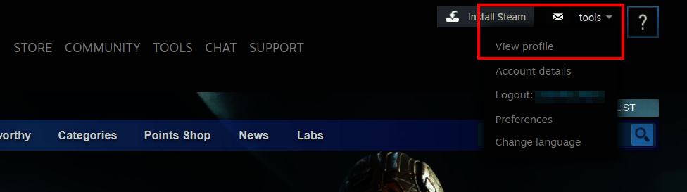 How to find your Steam ID - IONOS UK