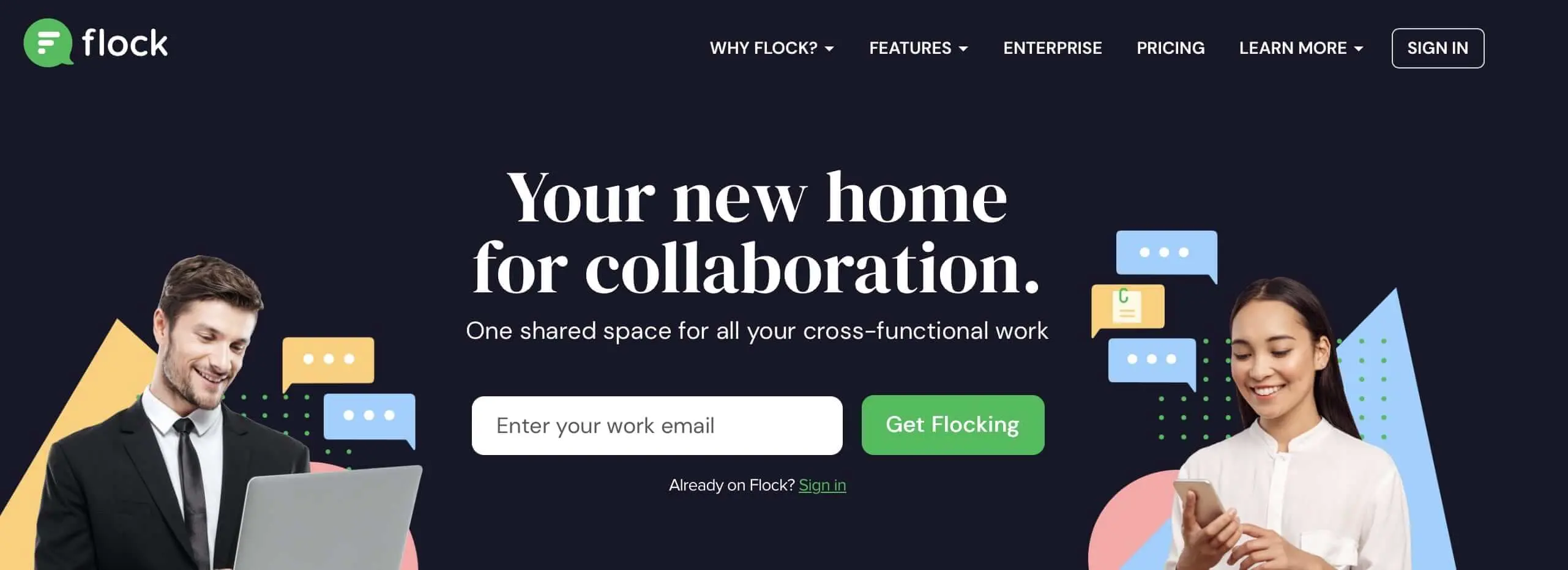 Screenshot of the Flock website Image: Screenshot of the Flock website