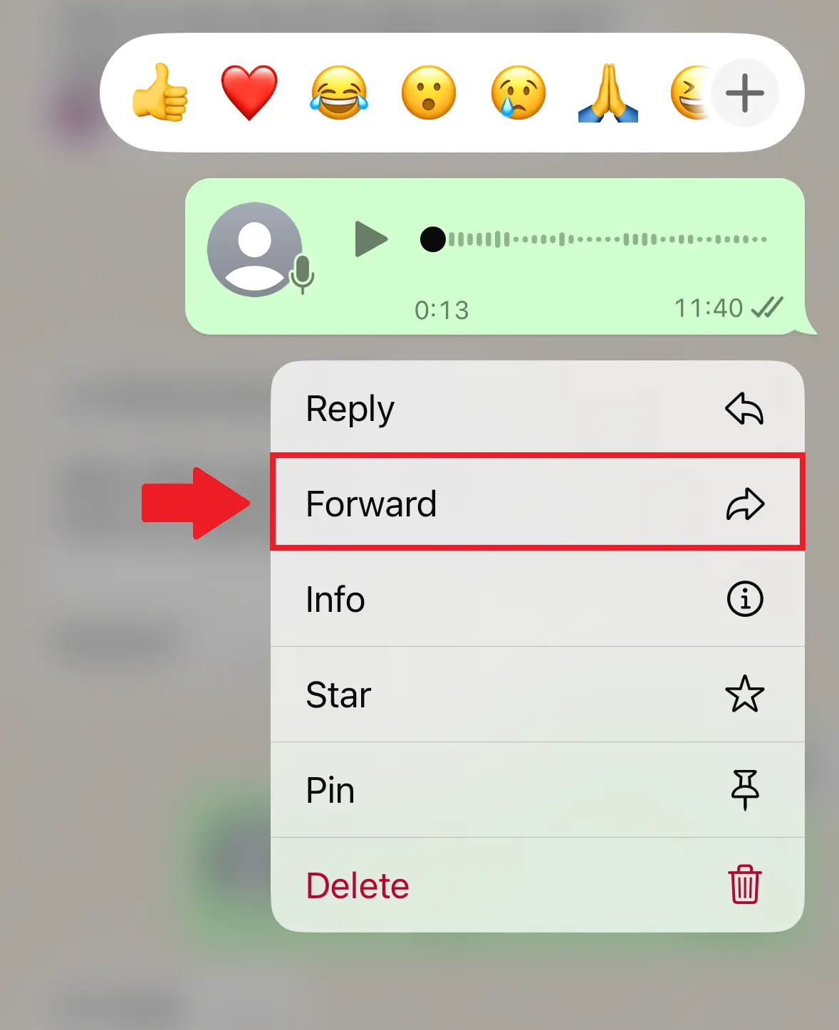 iPhone screenshot of the ‘Forward’ option on WhatsApp Image: iPhone screenshot of the ‘Forward’ option on WhatsApp