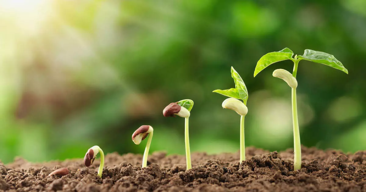 Image: ISO 14001 &ndash; The standard for more sustainability