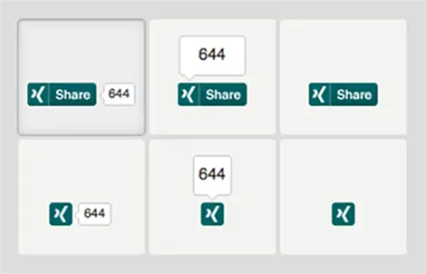 Image: The Xing Share button in different formats