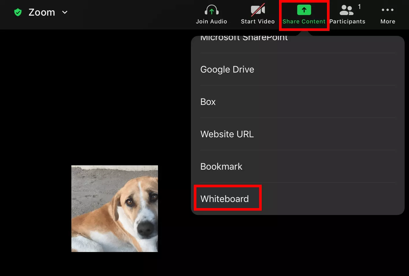 Option to launch a Zoom whiteboard in the iPad app.