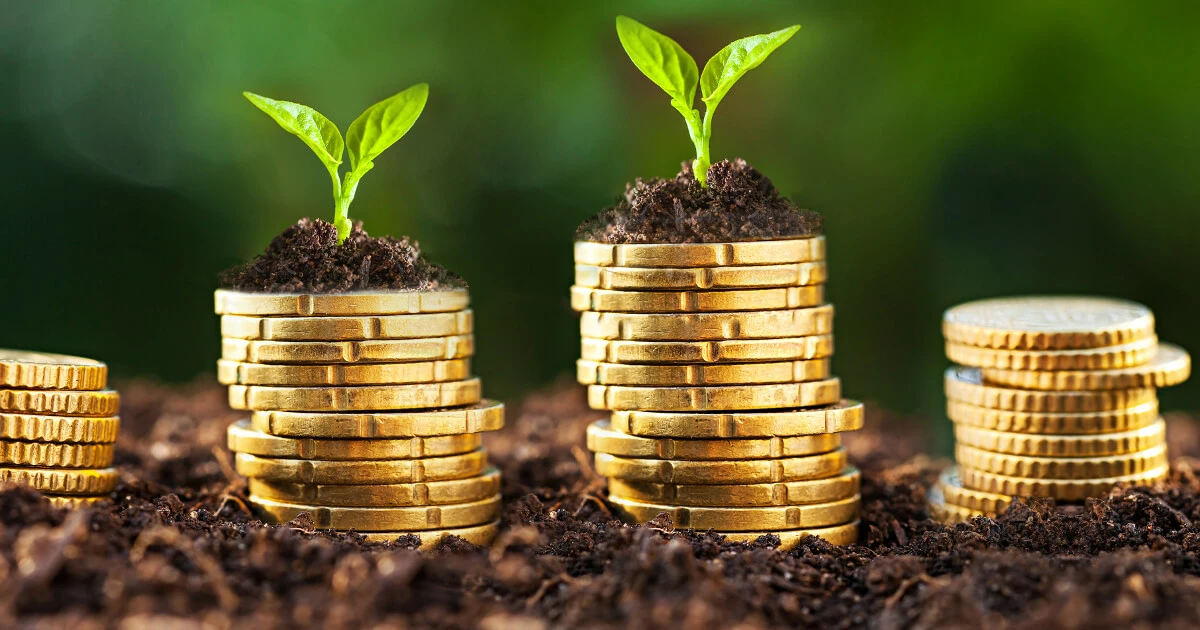 Image: Seed money for your online shop