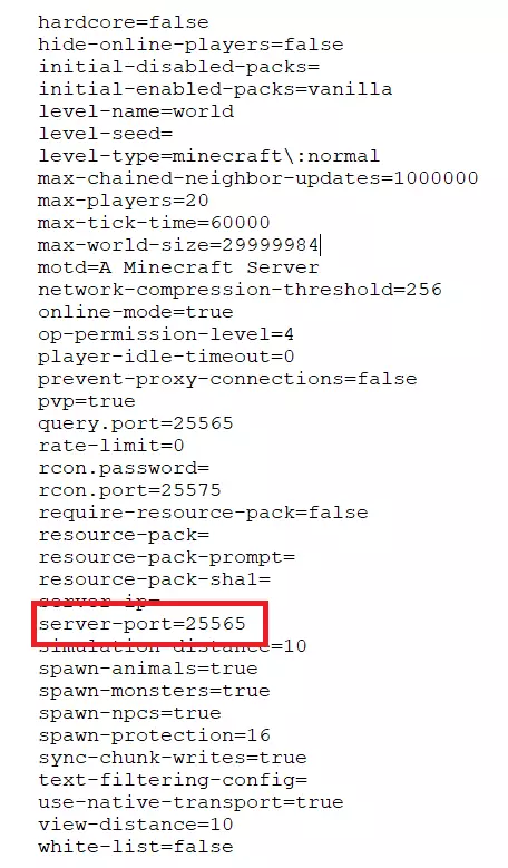 Image: Minecraft server: snippet of server.properties file