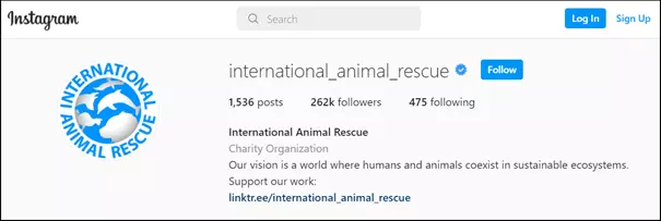 Image: Example of an Instagram bio: International Animal Rescue