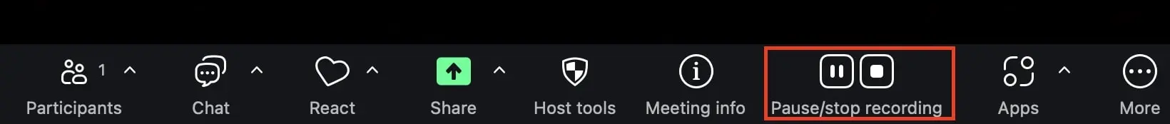 Zoom recording menu: Pause/Stop Recording Image: Zoom recording menu: Pause/Stop Recording