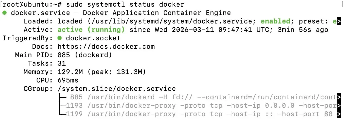 Image: Docker status display