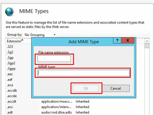 IIS manager: add MIME type window
